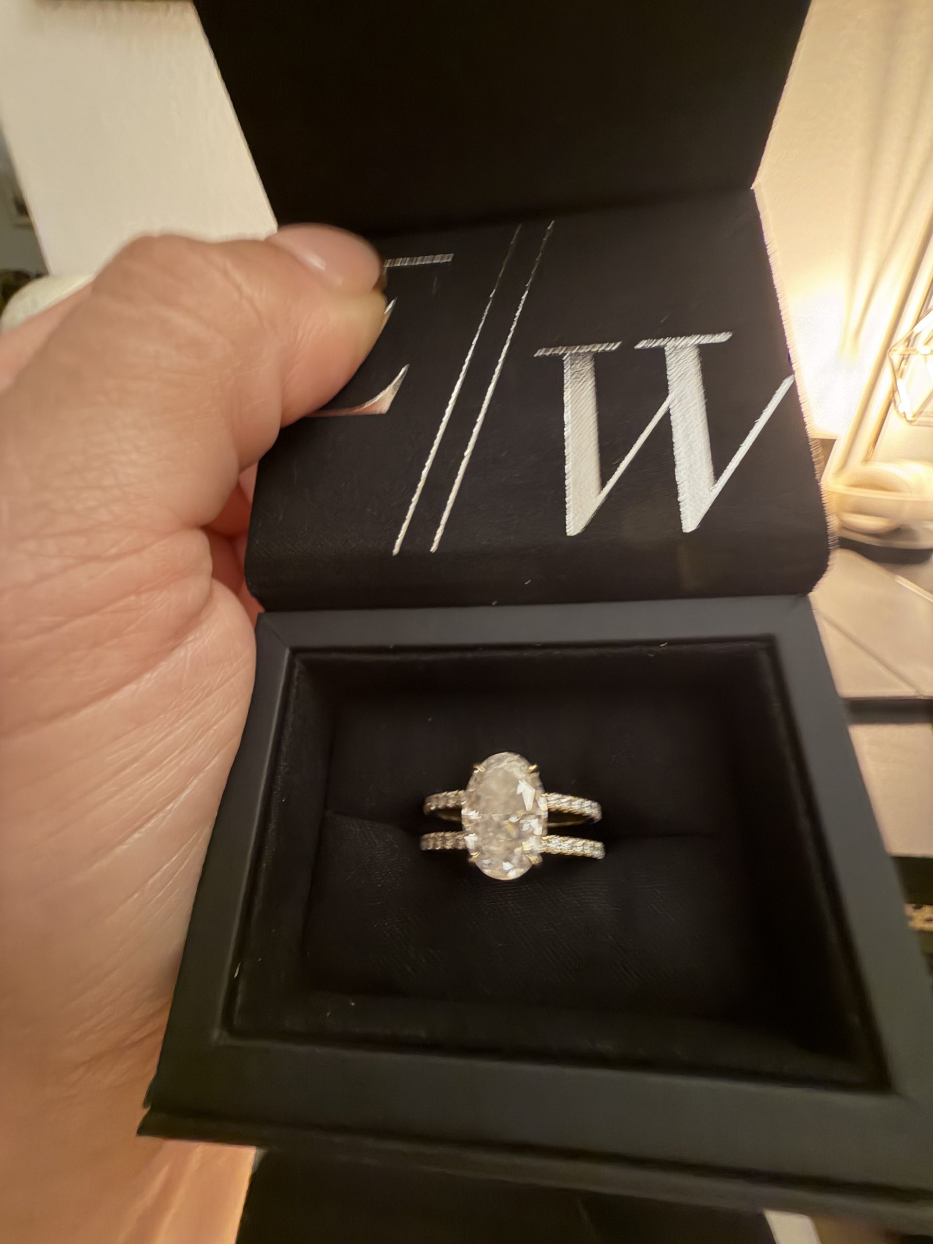 4.1 carat Oval Pavé 1.8mm U-prong pavé bands and an invisible halo